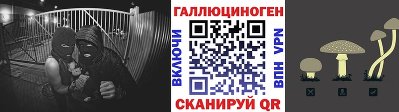 купить наркоту  Лихославль  Псилоцибиновые грибы ЛСД 